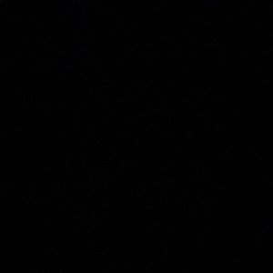 Meet your Posher, Braden